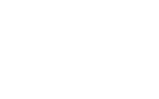 Our Core Values